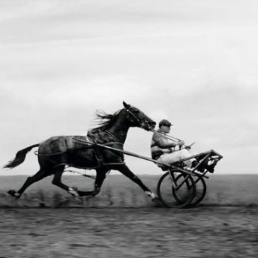 No pongas el carro delante del caballo.