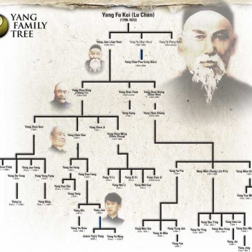 Paradojas en la historia de estilo Yang
